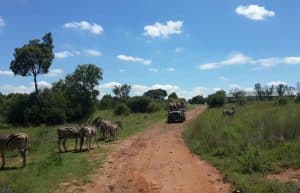 South Africa - Big 5 Wildlife Course9