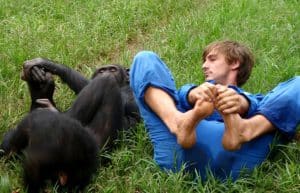 Zambia - Chimpanzee Wildlife and Orphan Care2