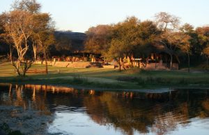 Zimbabwe - Horse Management and Lion Rehabilitation15