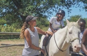 Zimbabwe - Horse Management and Lion Rehabilitation4