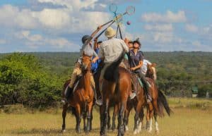 Zimbabwe - Horse Management and Lion Rehabilitation9