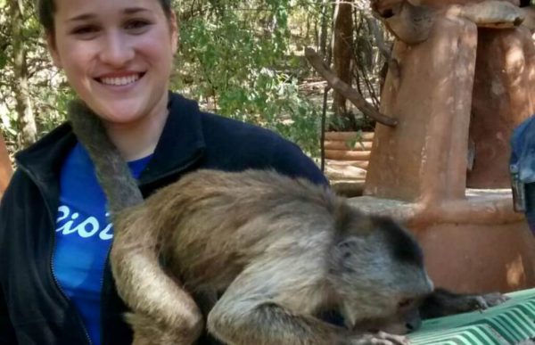 Veterinary Internships in South Africa | Wildlife Volunteering Abroad ...