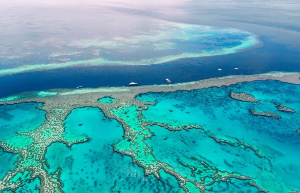 Save the Great Barrier Reef in Australia, How Can You Help?