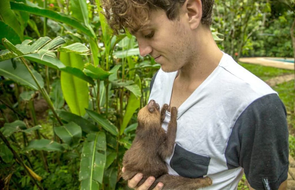 Volunteer with Sloths in Costa Rica - Sloth Sanctuary and Rescue