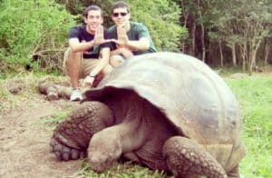 Volunteer in Ecuador, Galápagos - Giant Turtle Conservation