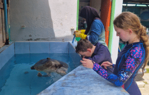 maldives-family-friendly-sea-turtle-conservation-eco-tour-new-16