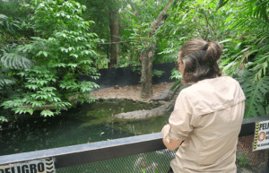 costa-rica-wild-animal-rescue-and-rehabilitation-in-san-jose14