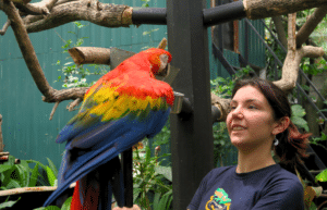 costa-rica-wild-animal-rescue-and-rehabilitation-in-san-jose19