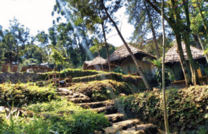 tanzania-kilimanjaro-reforestation-and-environmental-volunteer-program23