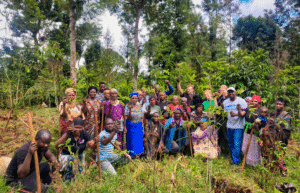 tanzania-kilimanjaro-reforestation-and-environmental-volunteer-program5