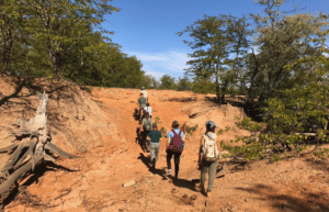 botswana-safari-volunteer-program11