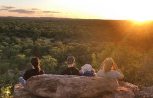 botswana-safari-volunteer-program7