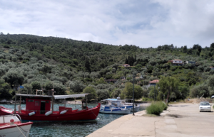 greece-greek-island-marine-conservation14