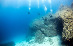 greece-greek-island-marine-conservation22