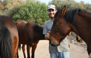 argentina-horse-volunteer-and-animal-sanctuary14