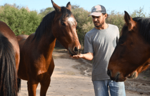 argentina-horse-volunteer-and-animal-sanctuary23