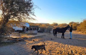 argentina-horse-volunteer-and-animal-sanctuary32