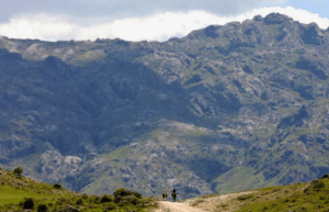 argentina-horse-volunteer-and-animal-sanctuary46