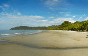 costa-rica-family-friendly-wildlife-volunteering-on-the-pacific-coast-6