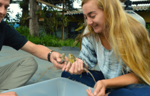 guatamala-tropical-wildlife-rescue-cente-19