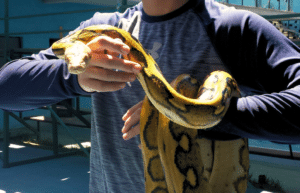 guatamala-tropical-wildlife-rescue-cente-21