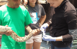 guatamala-tropical-wildlife-rescue-cente-25