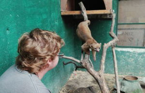 guatamala-tropical-wildlife-rescue-cente-32