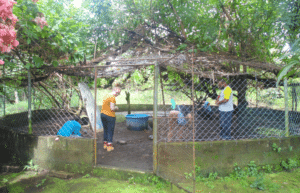 guatamala-tropical-wildlife-rescue-cente-7