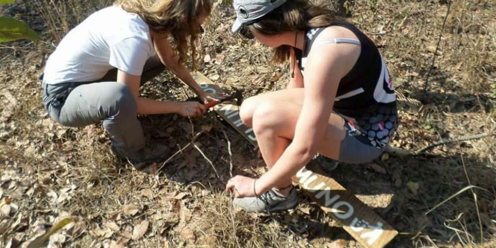 Zambia - Chimpanzee Wildlife and Orphan Care16