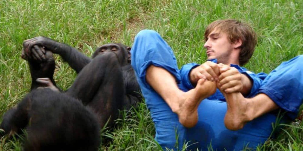 Zambia - Chimpanzee Wildlife and Orphan Care2