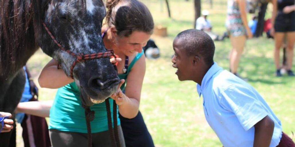 Zimbabwe - Horse Management and Lion Rehabilitation12