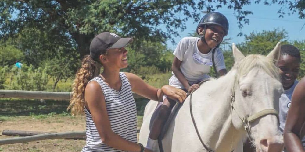 Zimbabwe - Horse Management and Lion Rehabilitation4