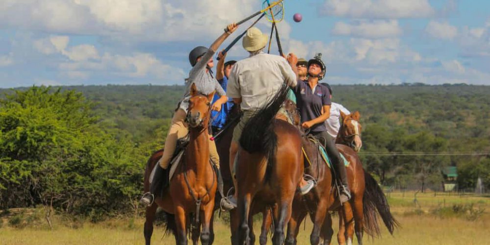 Zimbabwe - Horse Management and Lion Rehabilitation9