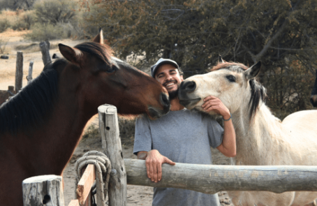 argentina-horse-volunteer-and-animal-sanctuary-main-1