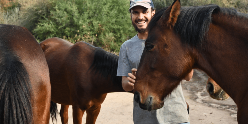 argentina-horse-volunteer-and-animal-sanctuary14