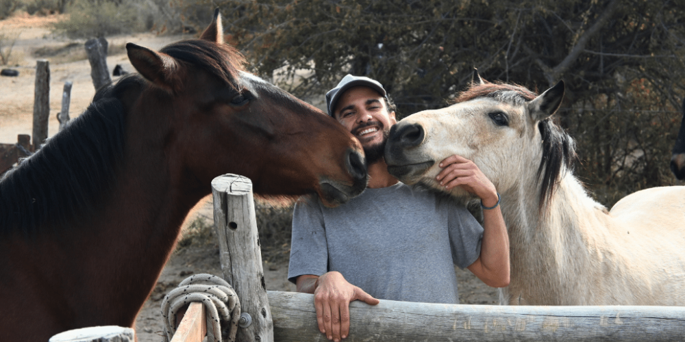 argentina-horse-volunteer-and-animal-sanctuary19