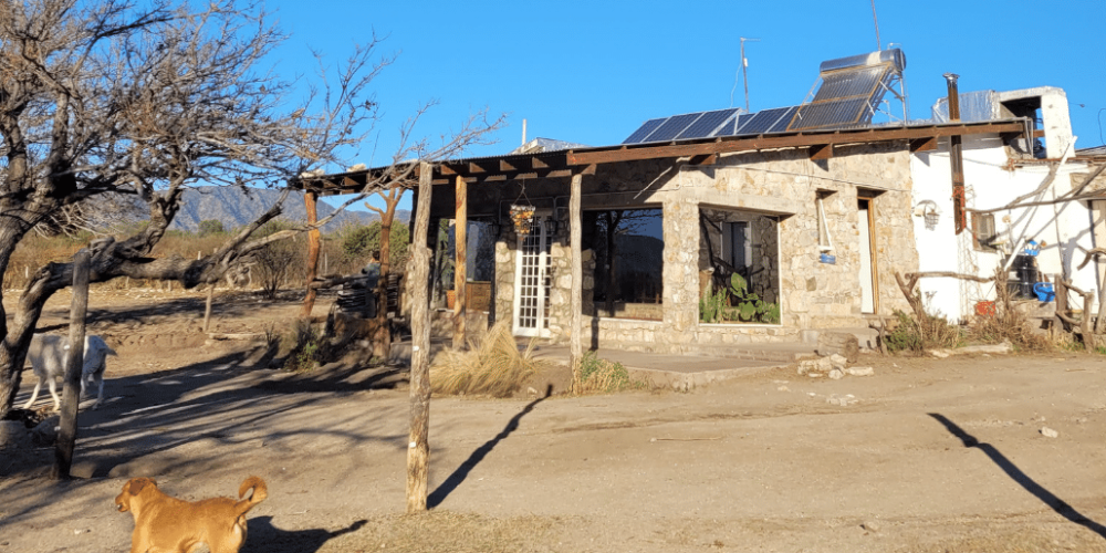 argentina-horse-volunteer-and-animal-sanctuary8