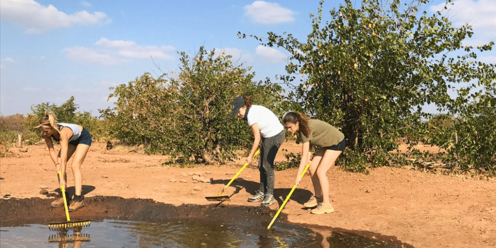 botswana-safari-volunteer-program14