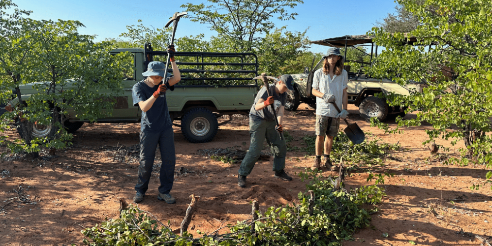 botswana-safari-volunteer-program41