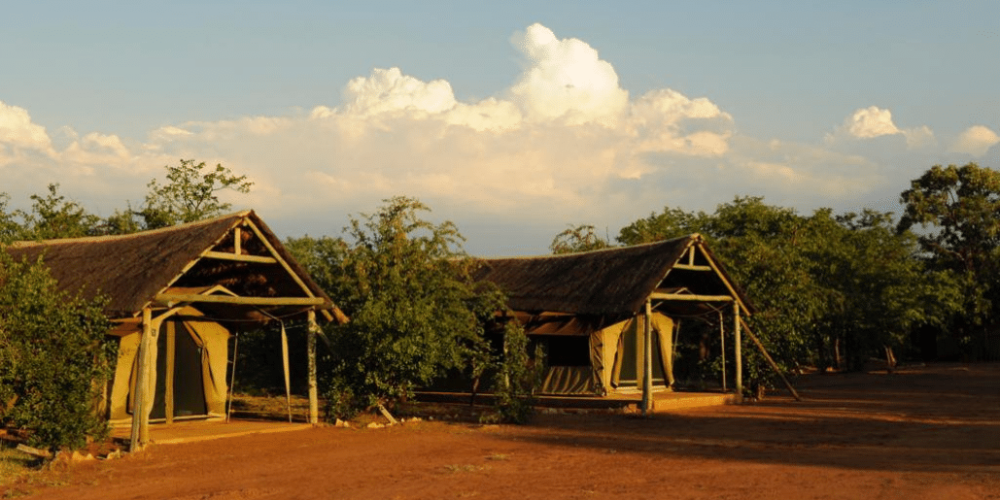 botswana-safari-volunteer-program53