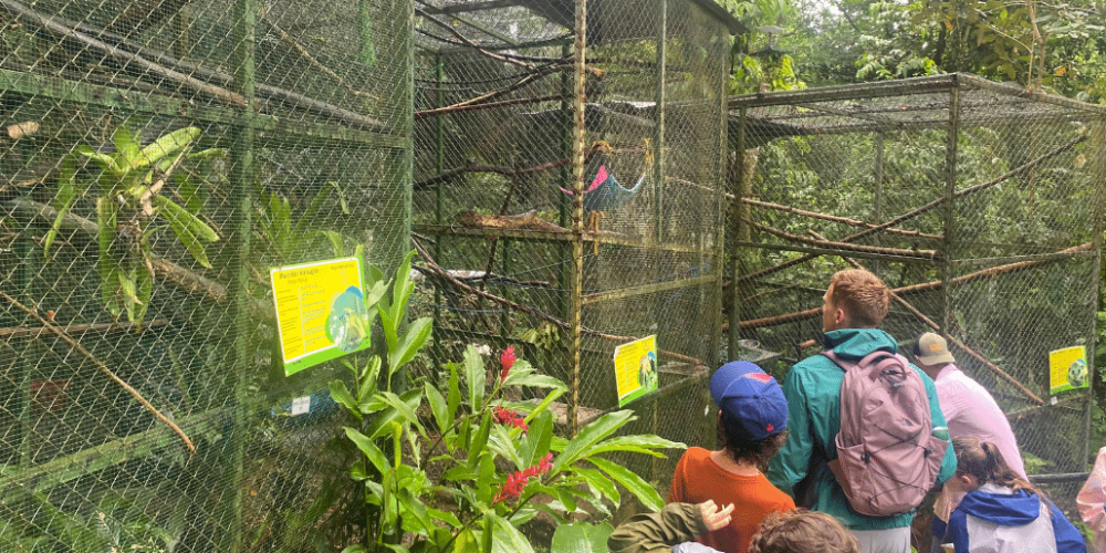 costa-rica-family-friendly-wildlife-volunteering-on-the-pacific-coast-154