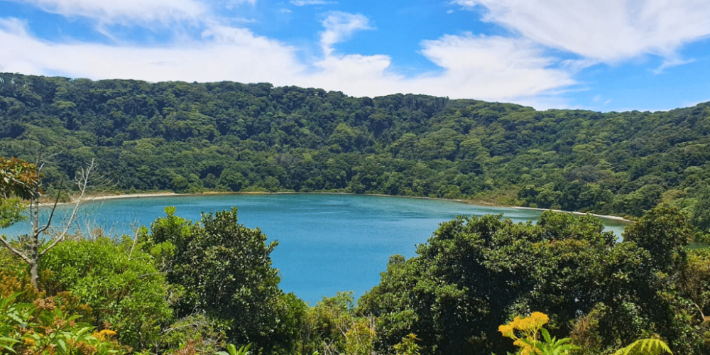 costa-rica-family-friendly-wildlife-volunteering-on-the-pacific-coast-159