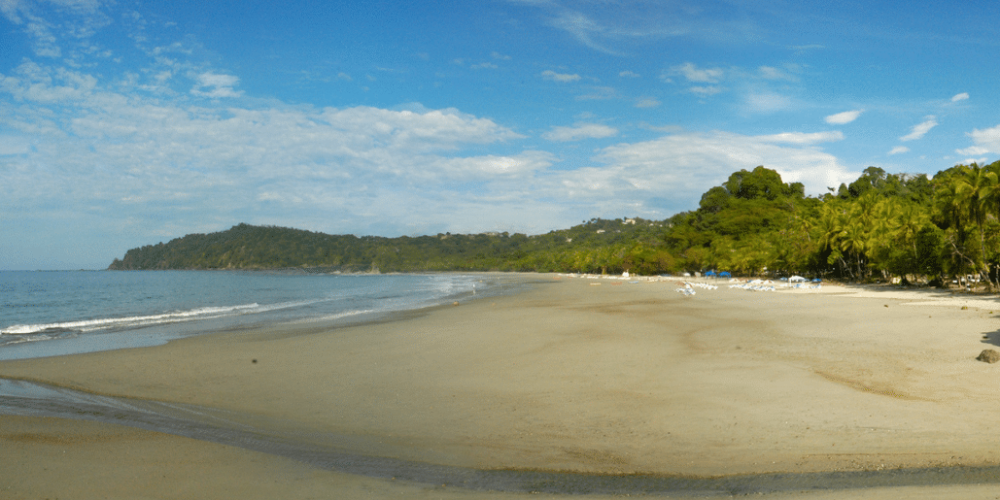 costa-rica-family-friendly-wildlife-volunteering-on-the-pacific-coast-6