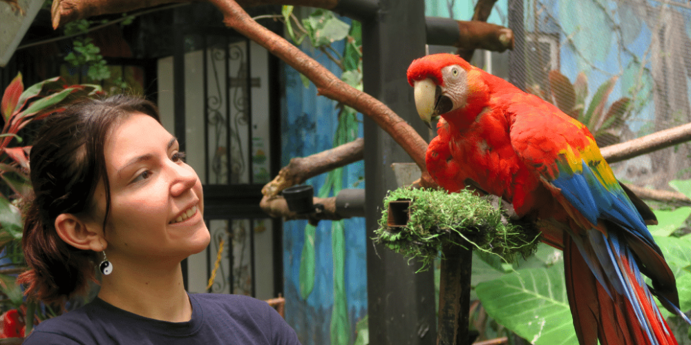 costa-rica-wild-animal-rescue-and-rehabilitation-in-san-jose18