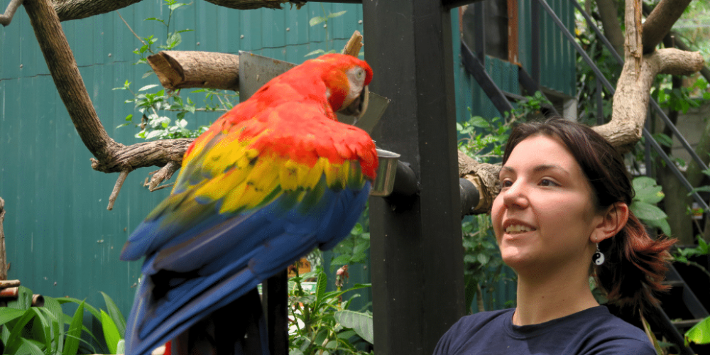 costa-rica-wild-animal-rescue-and-rehabilitation-in-san-jose19