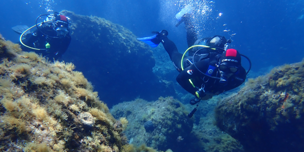 greece-greek-island-marine-conservation16