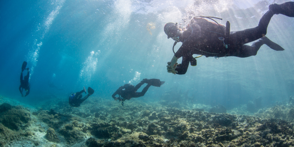 greece-greek-island-marine-conservation24