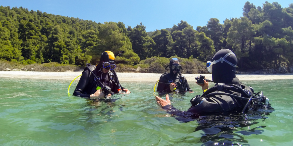 greece-greek-island-marine-conservation7