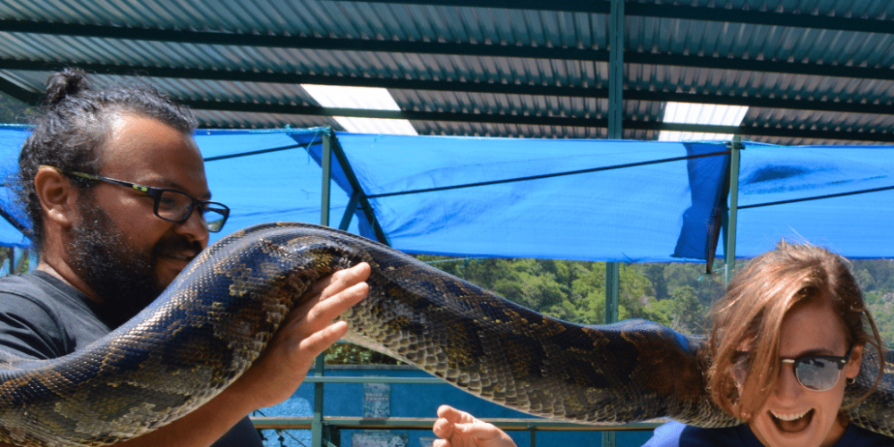 guatamala-tropical-wildlife-rescue-cente-13