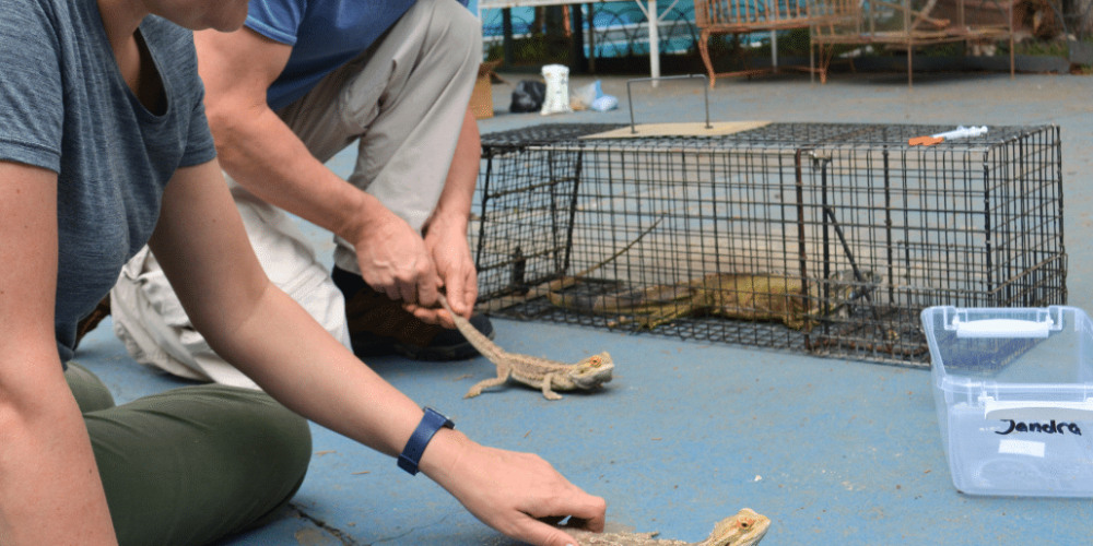 guatamala-tropical-wildlife-rescue-cente-15